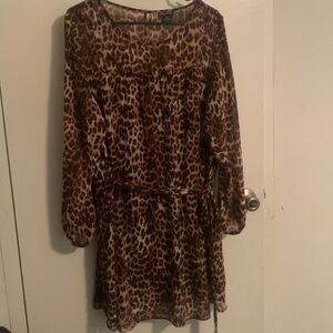 City chic cheetah print top little over the hip x14